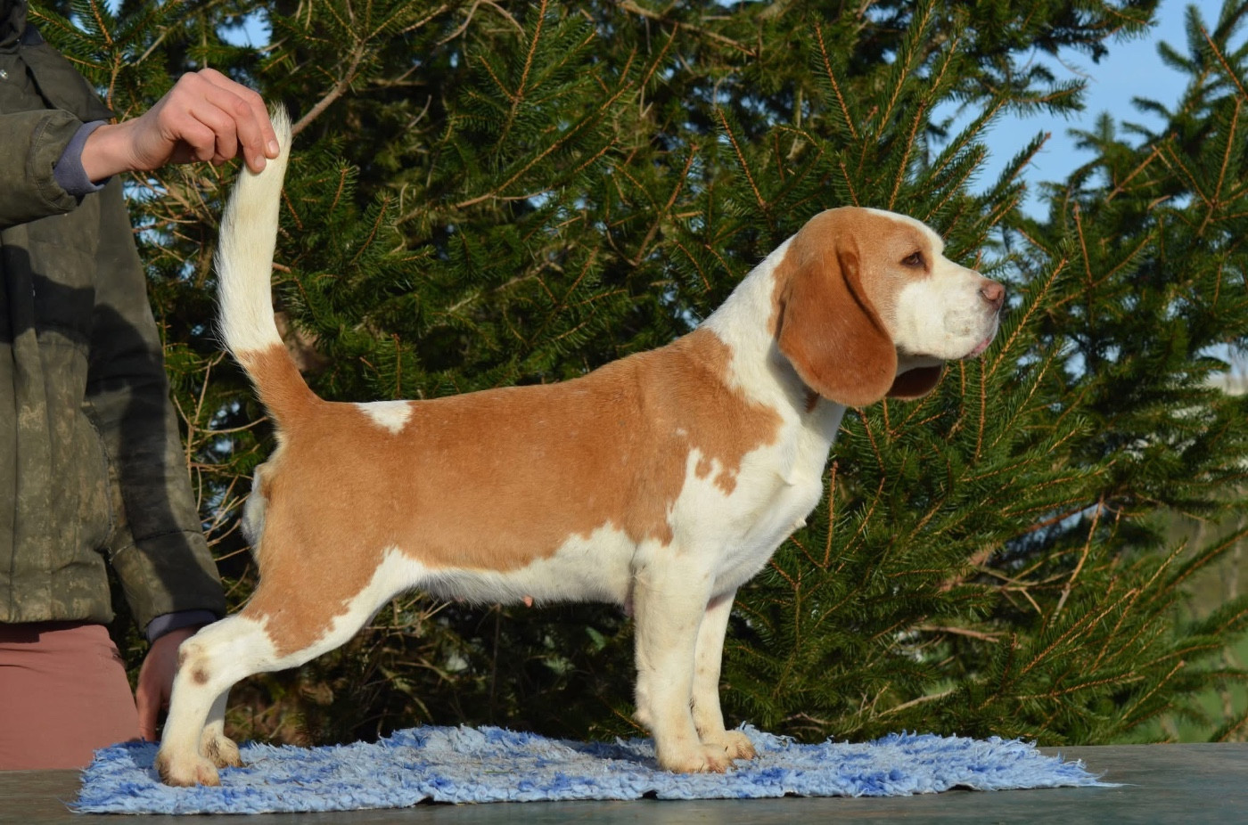 Season Des Chasseurs Du Temps