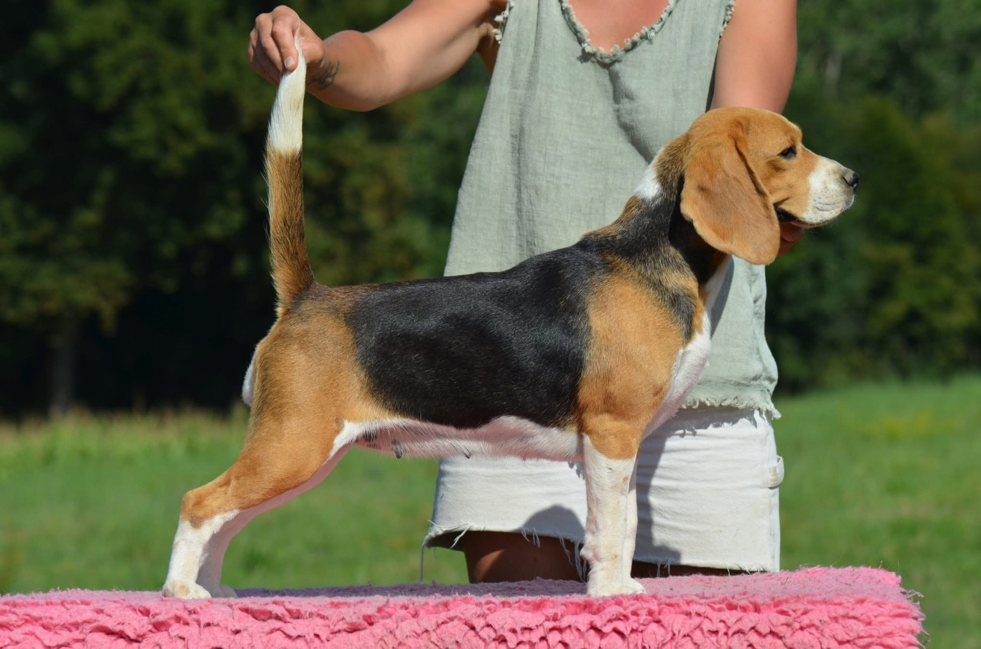 Ultima rs Des Chasseurs Du Temps