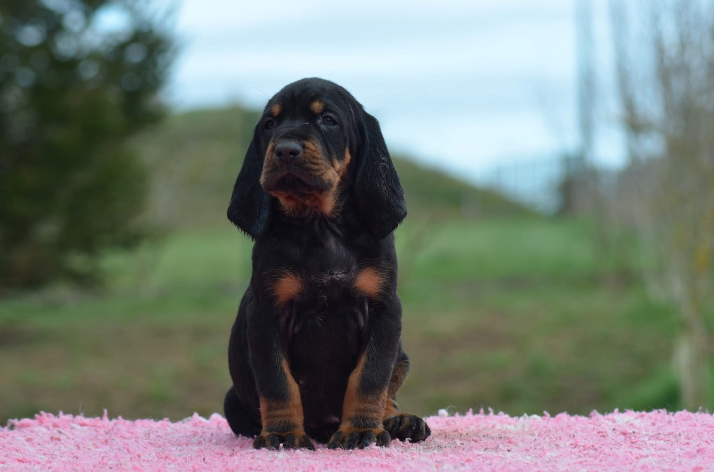 Jolis garçons disponible à la réservation